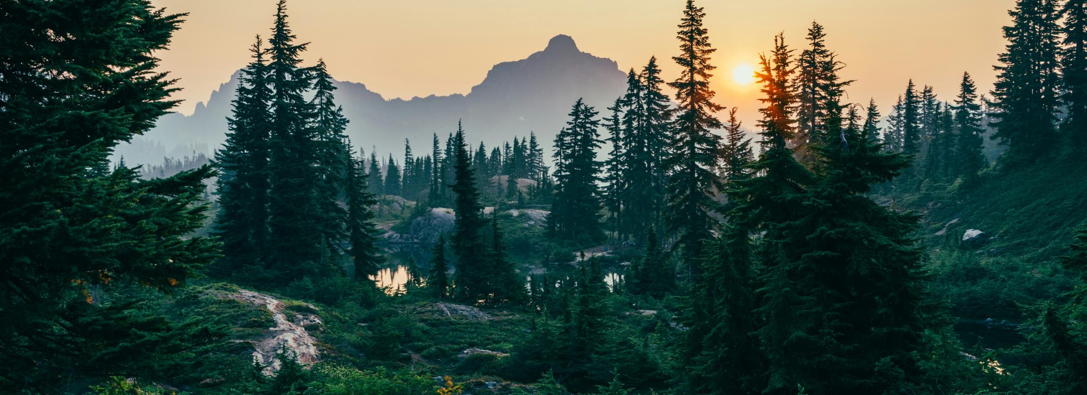 smokey morning in the cascades 