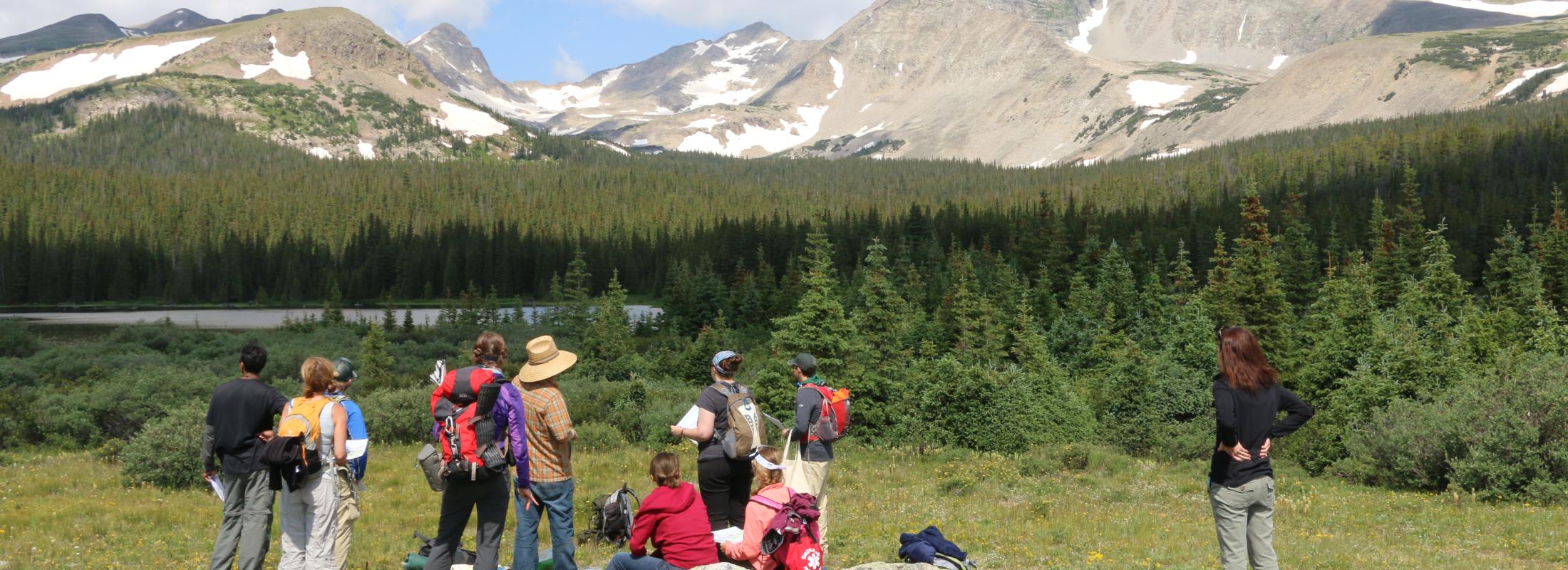 Students in a field 