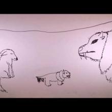 Coyote & the Drought