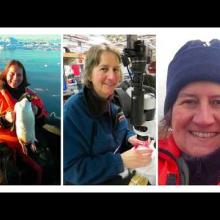 M5 L2: Life Beneath the Ice with Dr. Carin Ashjian