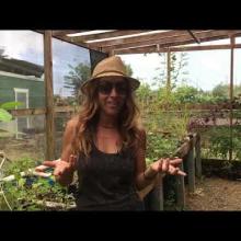 LECC - Mitigación, Adaptación, y Resiliencia en la Agricultura Puertorriqueña (en español)