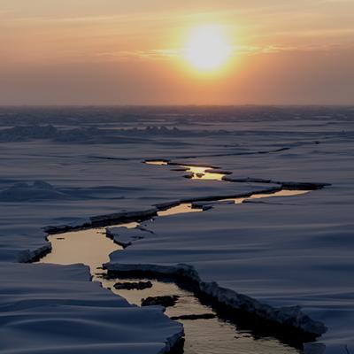 Experience and Capture the Arctic on Film with Lianna Nixon Link Tile