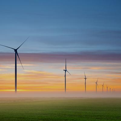 Climate and Mental Health: Acknowledging Grief and Inspiring Hope Link Tile