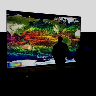 Person staring at an SOS world map with green, yellow, red and orange colors which depict different sea surface temperatures