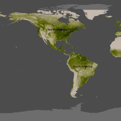 Satellite map of North and South America highlighting vegetation coverage. Green areas indicate denser vegetation, particularly in the Amazon rainforest and eastern North America, while lighter areas show sparse vegetation such as deserts and mountains. The continents are labeled 'North America' and 'South America