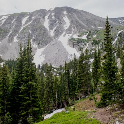 Niwot Ridge by Adam Zolyak