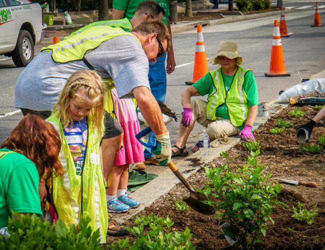 Families planting trees