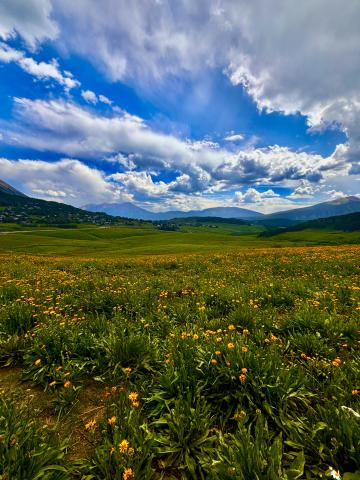 Mountain field