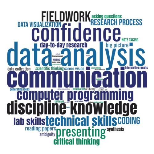 Word cloud describing RECCS