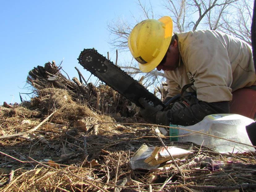 Man cutting a log