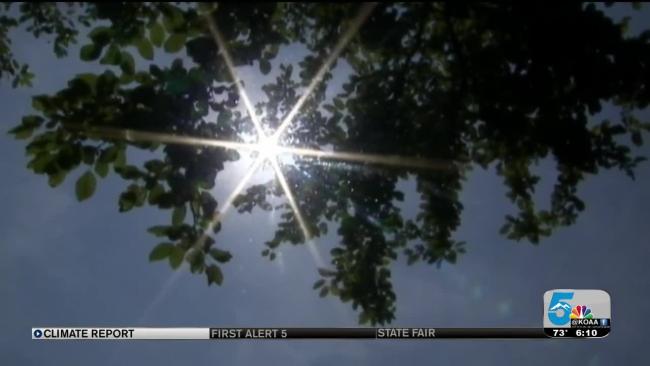 Sun flare refracting through leaves.