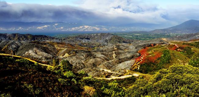 A picture of a recently burned area by Highway 175