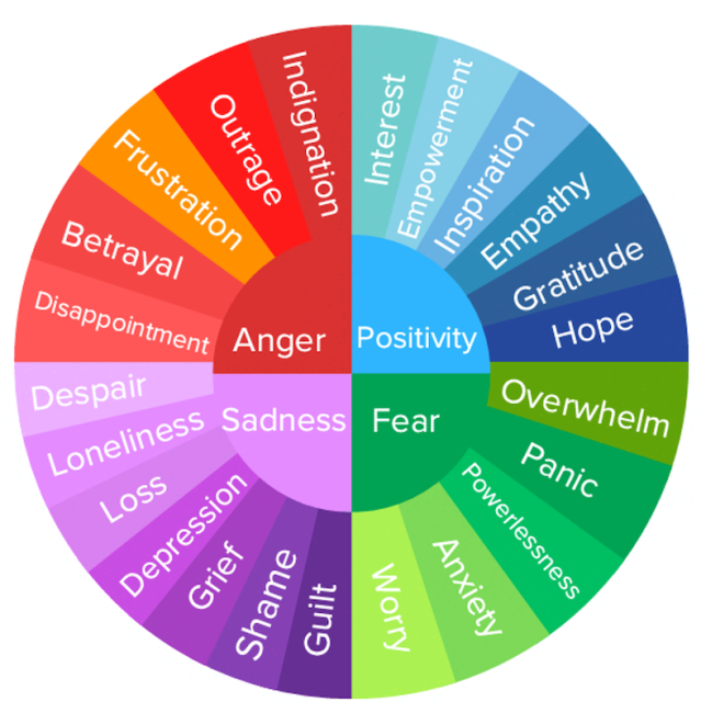 A picture of a rainbow wheel with a different color for each emotion. 