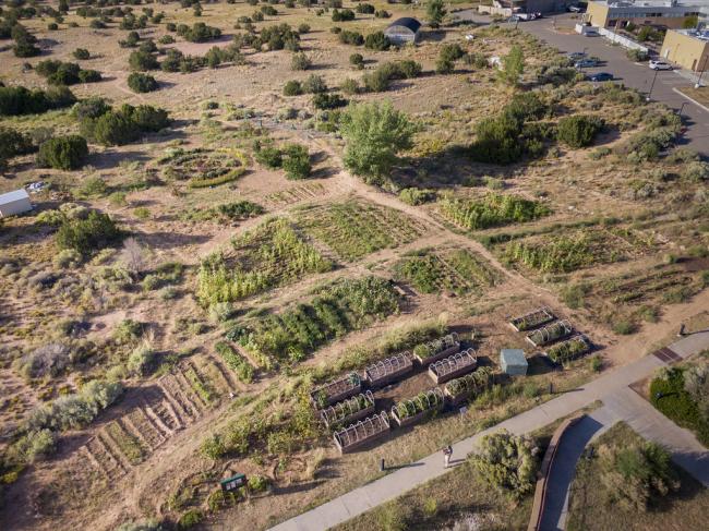 Aerial view of a Waffle Garden