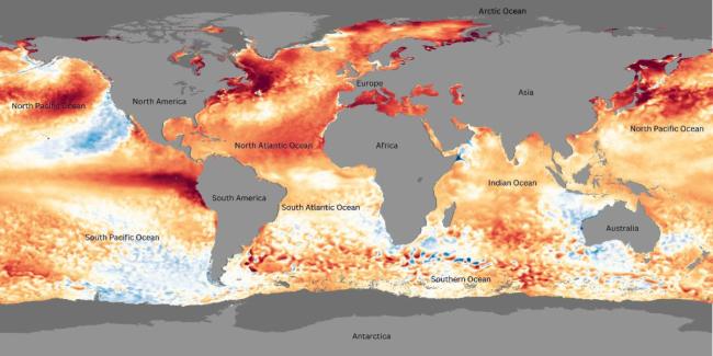 Sea Surface Temperature Anomaly. Depicts much warmer than usual water temperatures globally during an El Niño year.