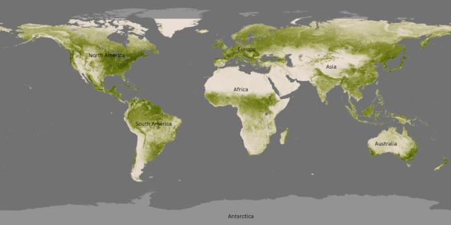 2016 Global Vegetation Index from NOAA-20's Visible Infrared Imaging Radiometer Suite (VIIRS). The Vegetation Index shows level of vegetation based on the amount of absorbed visible light. The lushest areas are dark green and absorb the most visible light, while sparse vegetation is pale in color.