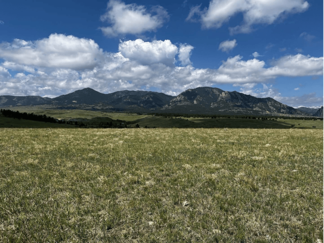 Landscape shot of an open grassy area with a mountain range in the far distance with partly cloudy blue skies.