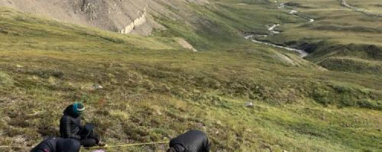 People sitting on a grassy hillside landscape looking at papers and string